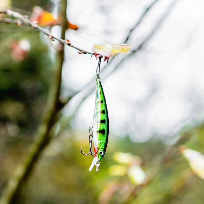 Lineaeffe Minnow de Hundimiento General