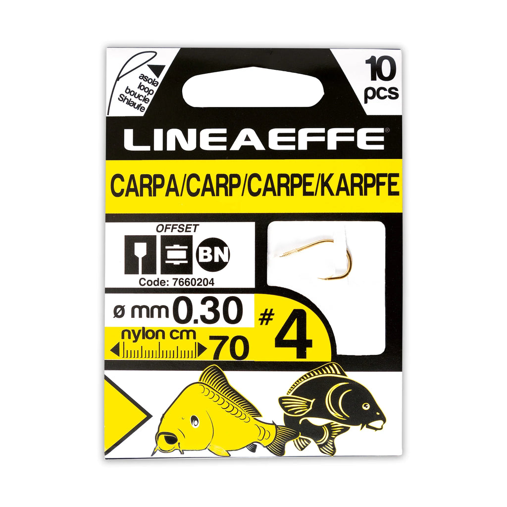 Anzuelos de Pesca Lineaeffe Hi Quality Booklets Carp CM70