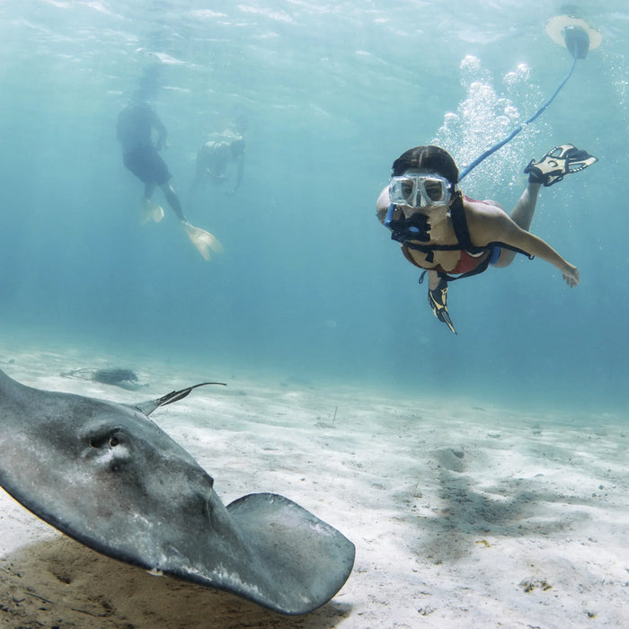 Bandera Alfa para Sistemas de Buceo Blu3