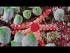 Traje de neopreno Mares Reef 3mm Hombre