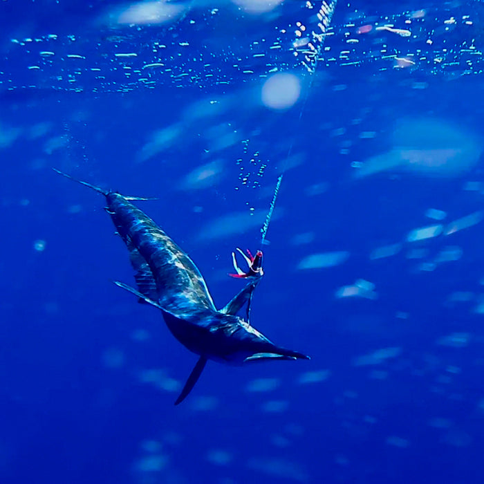 Cámara de Acción para Pesca Deportiva Submarina Hook-Eye